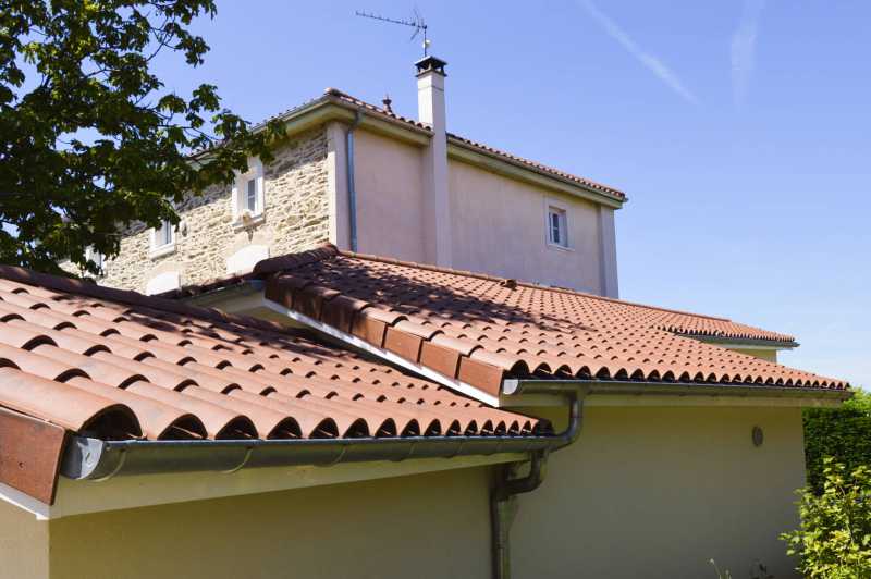 _DSC0292.jpg _DSC0292.jpg