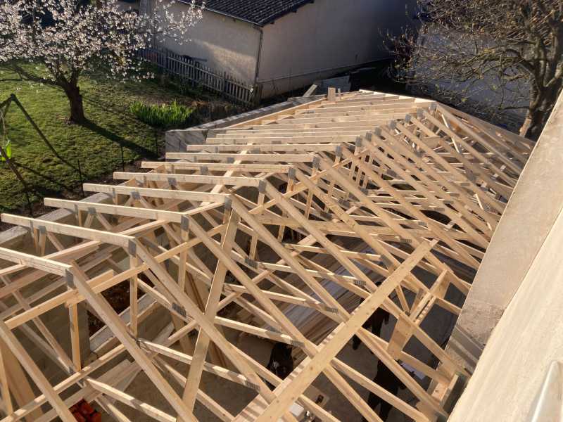 IMG_9135.jpg IMG_9135.jpg