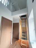 IMG_1475.jpg IMG_1475.jpg