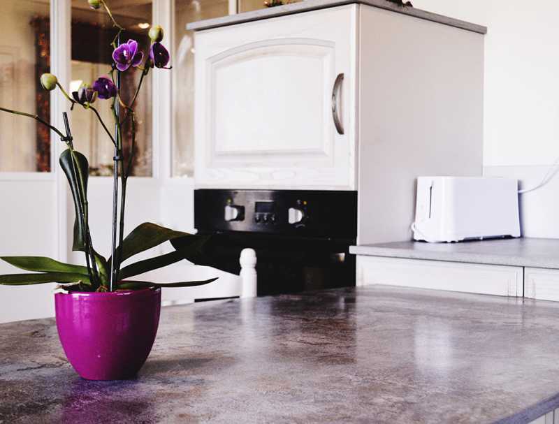 Cuisine rénovée Cuisine rénovée