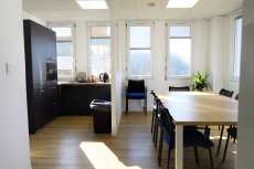 1677865846-DSC0242.jpg 1677865846-DSC0242.jpg